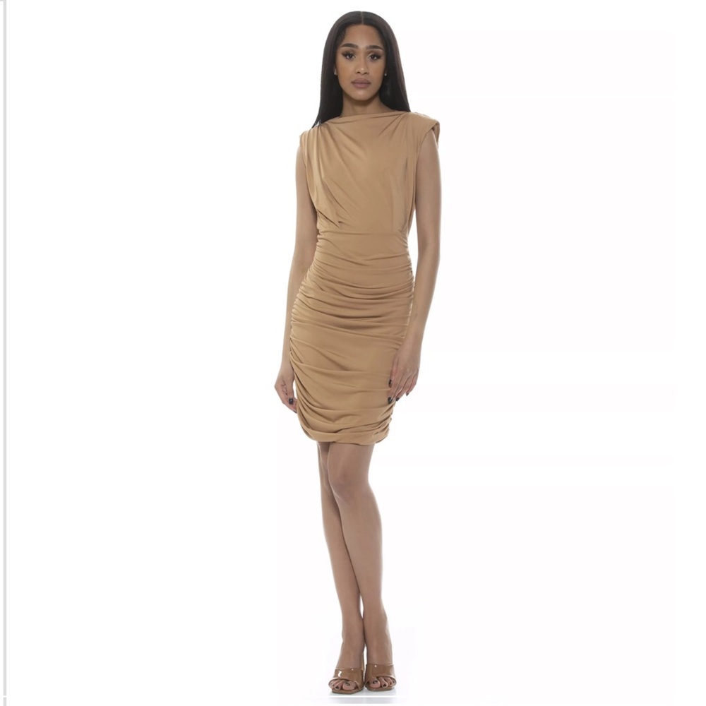 Tan Ruched Dress - Picture 4 of 8
